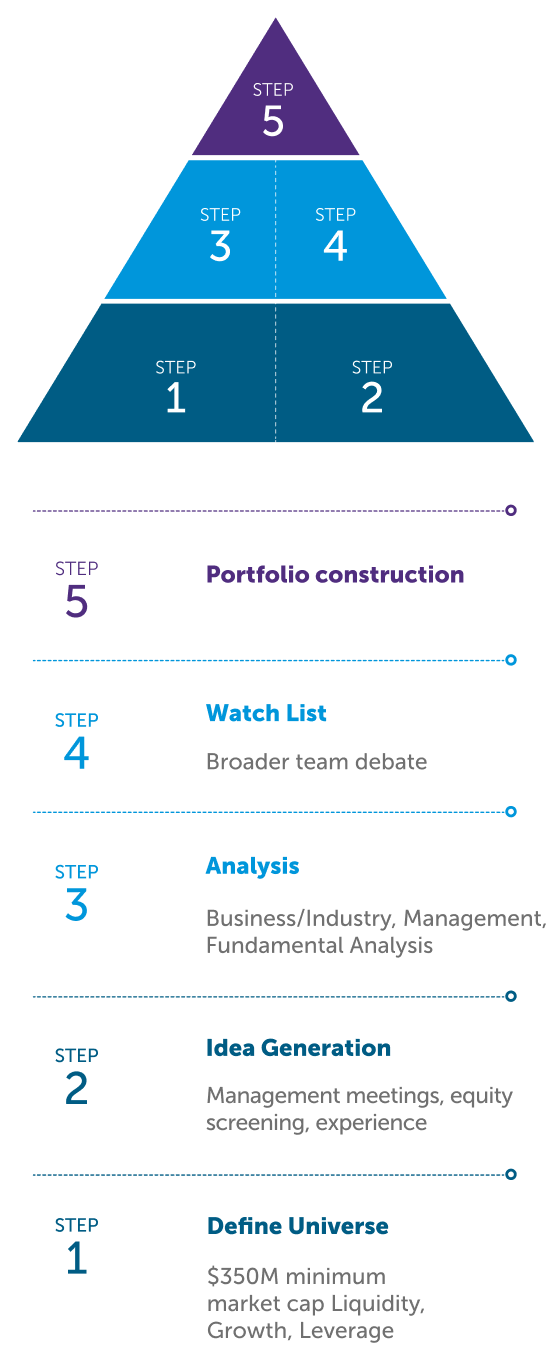 A 5-step pyramid diagram illustrating the equity investment process, starting with defining the universe and culminating in portfolio construction.